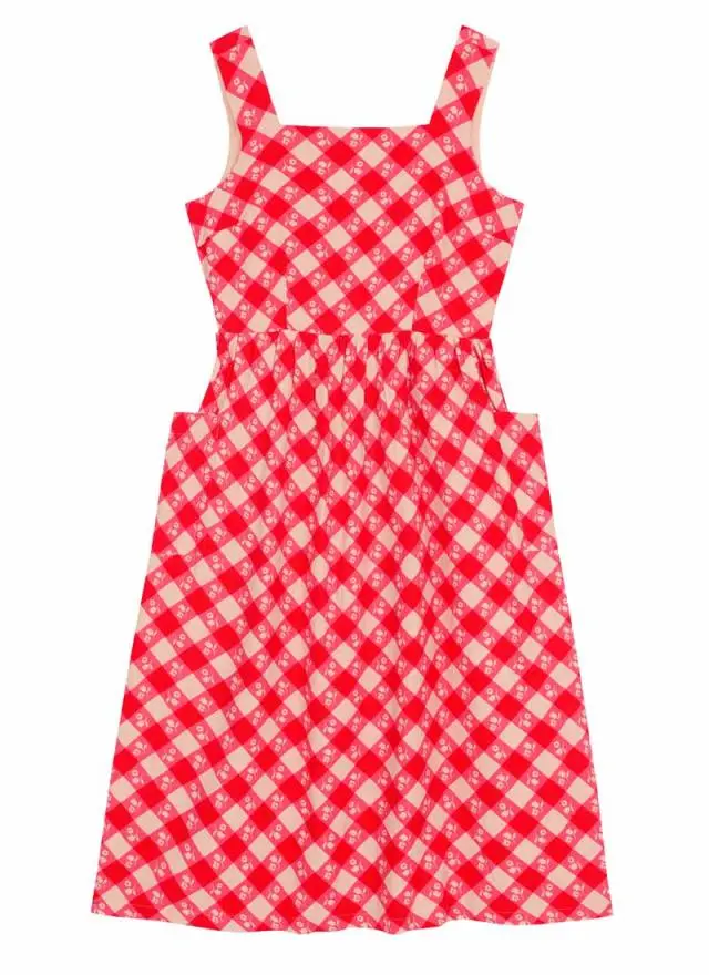 Joanie Clothing Aiken Gingham Floral Print Pinafore Dress