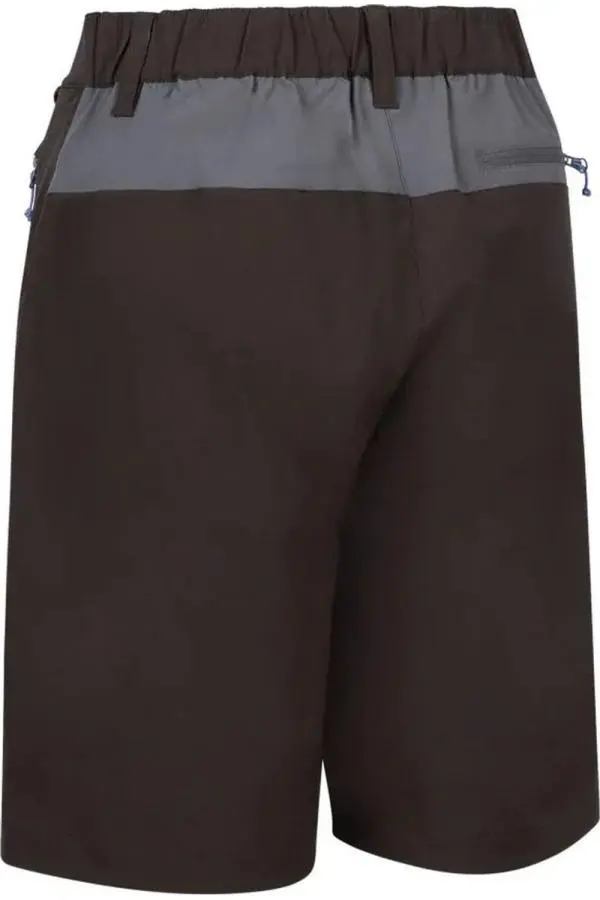 Quest Shorts