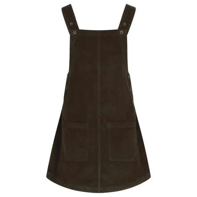 Trespass Women's Twirl Casual Dress in Brown 