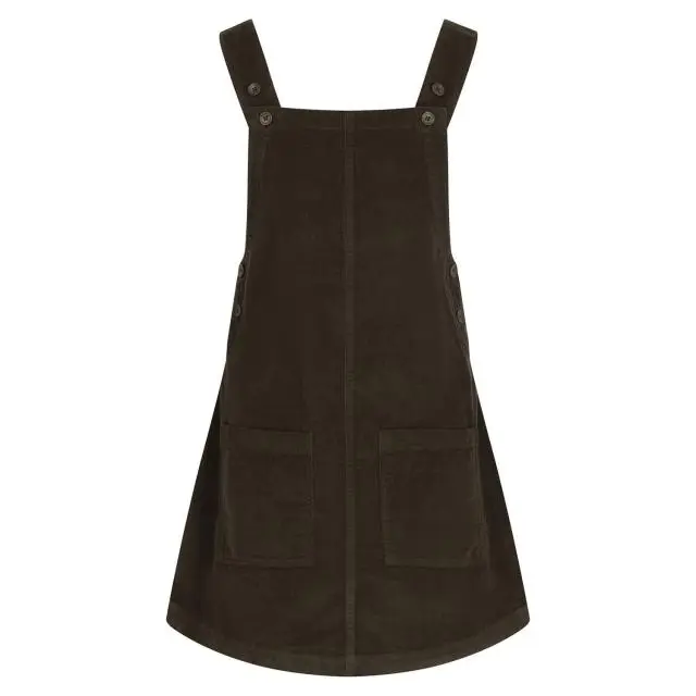 Trespass Women's Twirl Casual Dress in Brown 