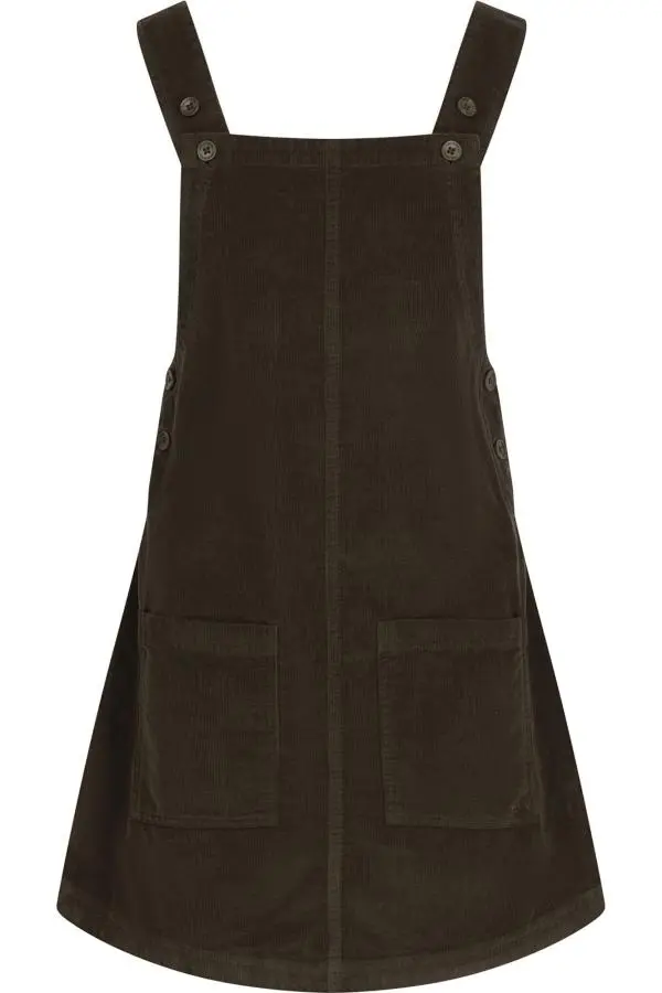 Trespass Women's Twirl Casual Dress in Brown 