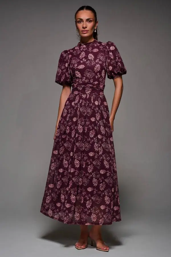 Jolie Moi Women's Puffy Sleeve Printed Mesh Maxi Dress in Burgundy