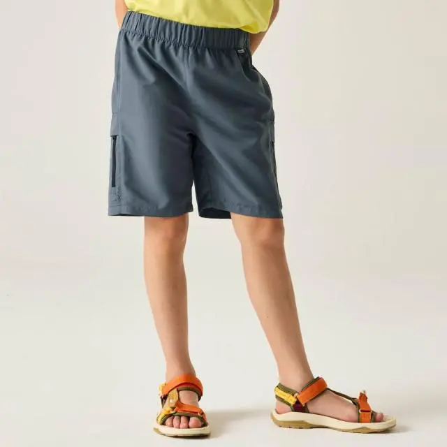 Regatta Sorcer III Cargo Shorts in Dark Grey 