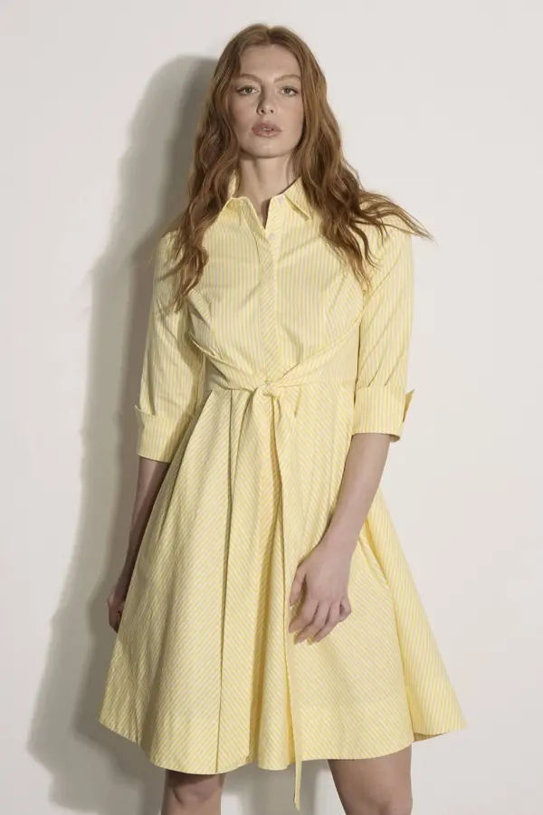 Apricot Women's Cotton Blend Stripe Shirt Mini Dress in Yellow 