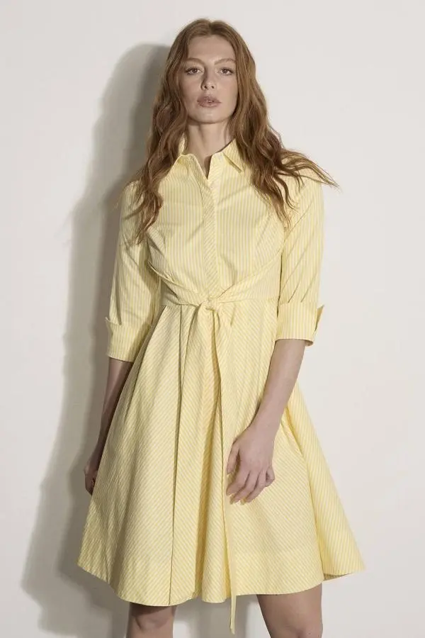 Apricot Women's Cotton Stripe Shirt Mini Dress in Yellow 