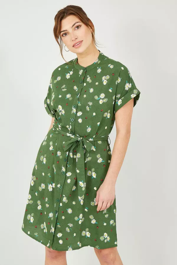 Green Daisy Ladybird Print Shirt Dress