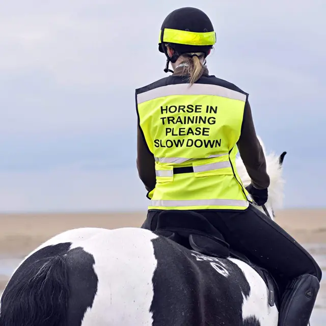 Equisafety Horse in Training Air Waistcoat, Yellow