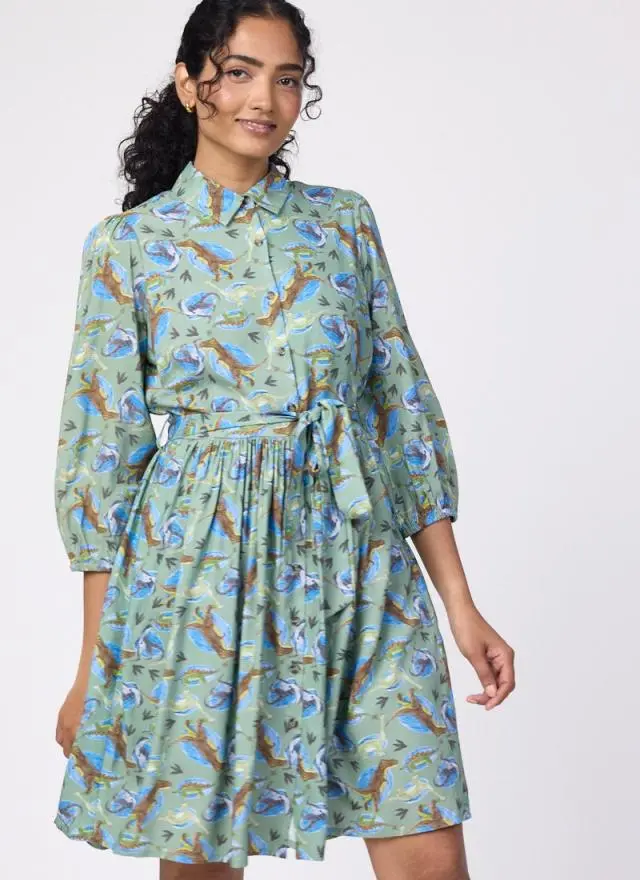 Joanie Clothing Andi Illustrated Dinosaur Print Shirt Dress