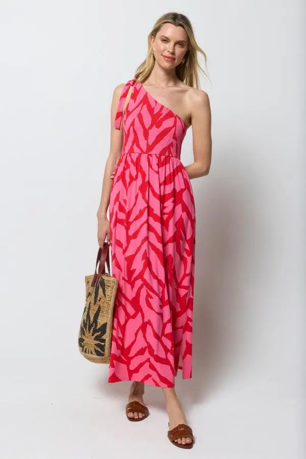 Red & Pink Zebra Jersey Maxi Dress